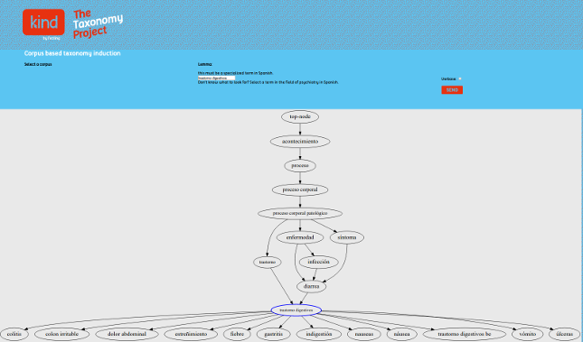 Example of taxonomy induction algorithm
